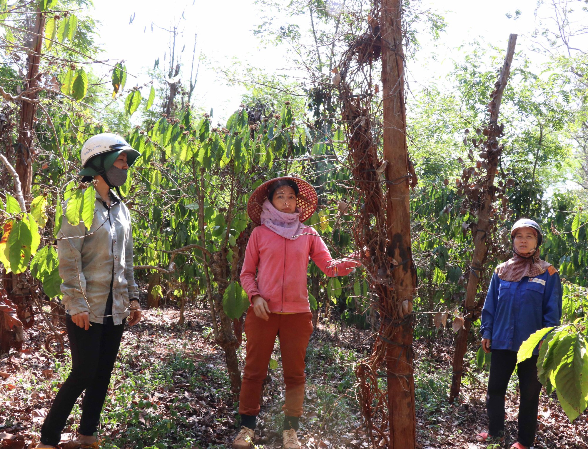 Đền bù tiền tỷ trên 23,4 ha đất: Tránh thất thoát ngân sách và có lợi cho dân - Ảnh 2.