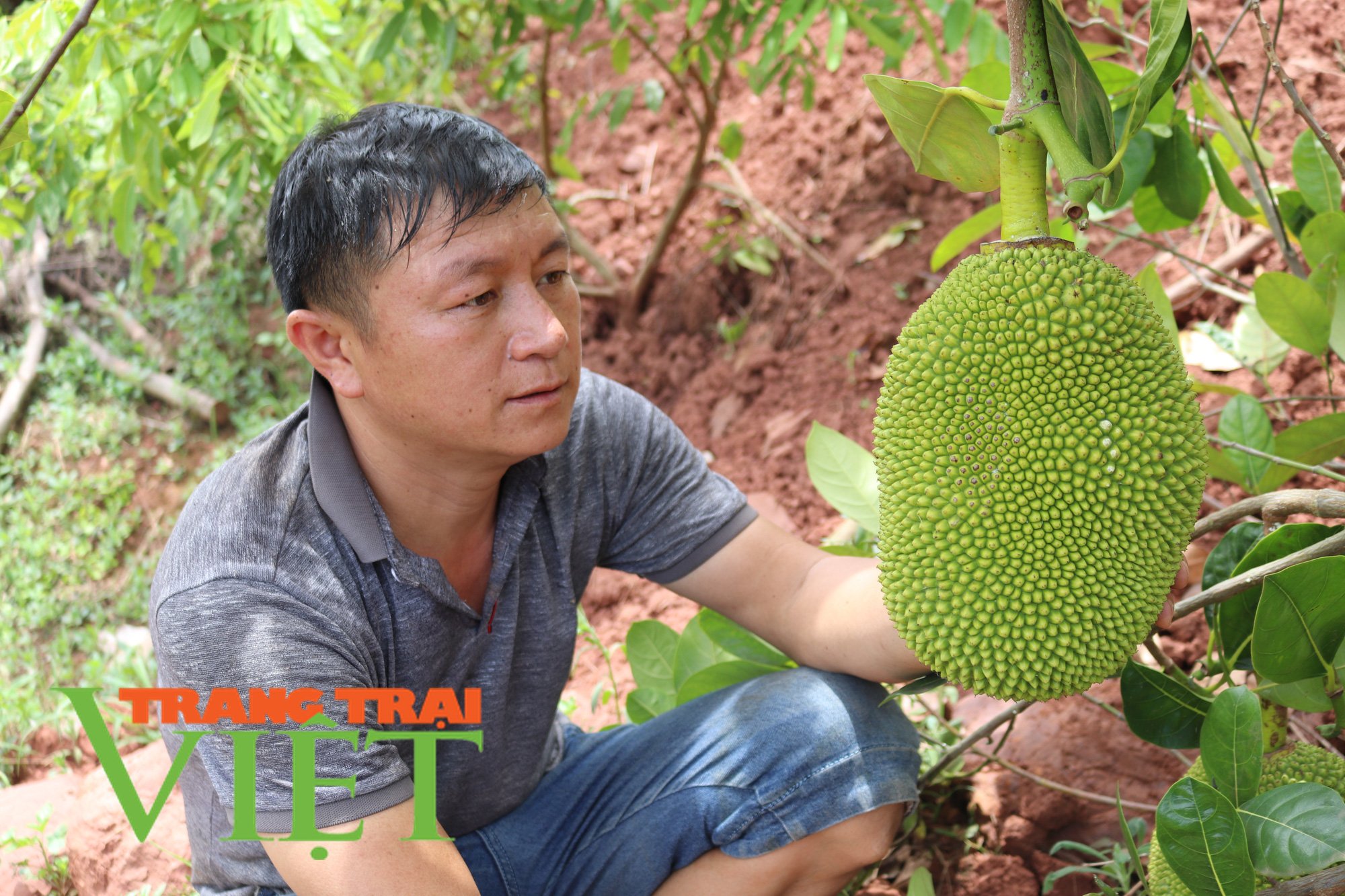 Mường Bú hướng tới nông thôn mới nâng cao - Ảnh 3. Mường Bú hướng tới nông thôn mới nâng cao - Ảnh 3.