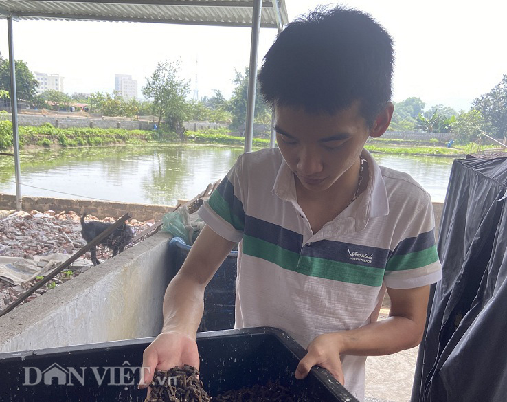 Gã kỹ sư trẻ gàn dở biến ấu trùng ruồi thành vàng - Ảnh 4.