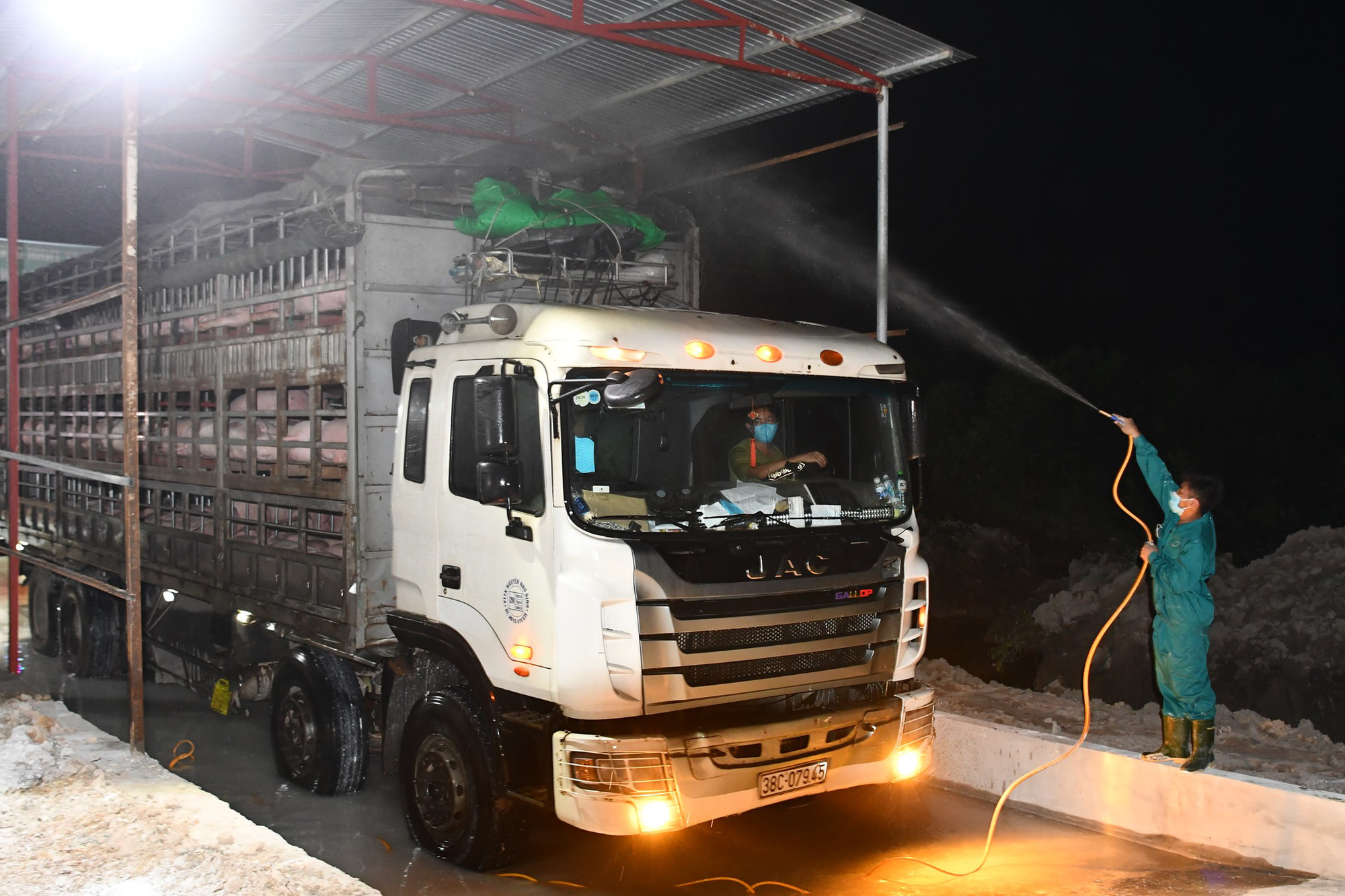 Nhập khẩu lợn sống từ Thái Lan phải đáp ứng điều kiện gì? - Ảnh 2.