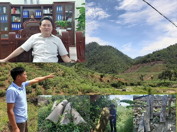 Phú Thọ: Đi tìm nguyên nhân hơn 1.000ha rừng tự nhiên bị... &quot;biến mất&quot; - Ảnh 3.