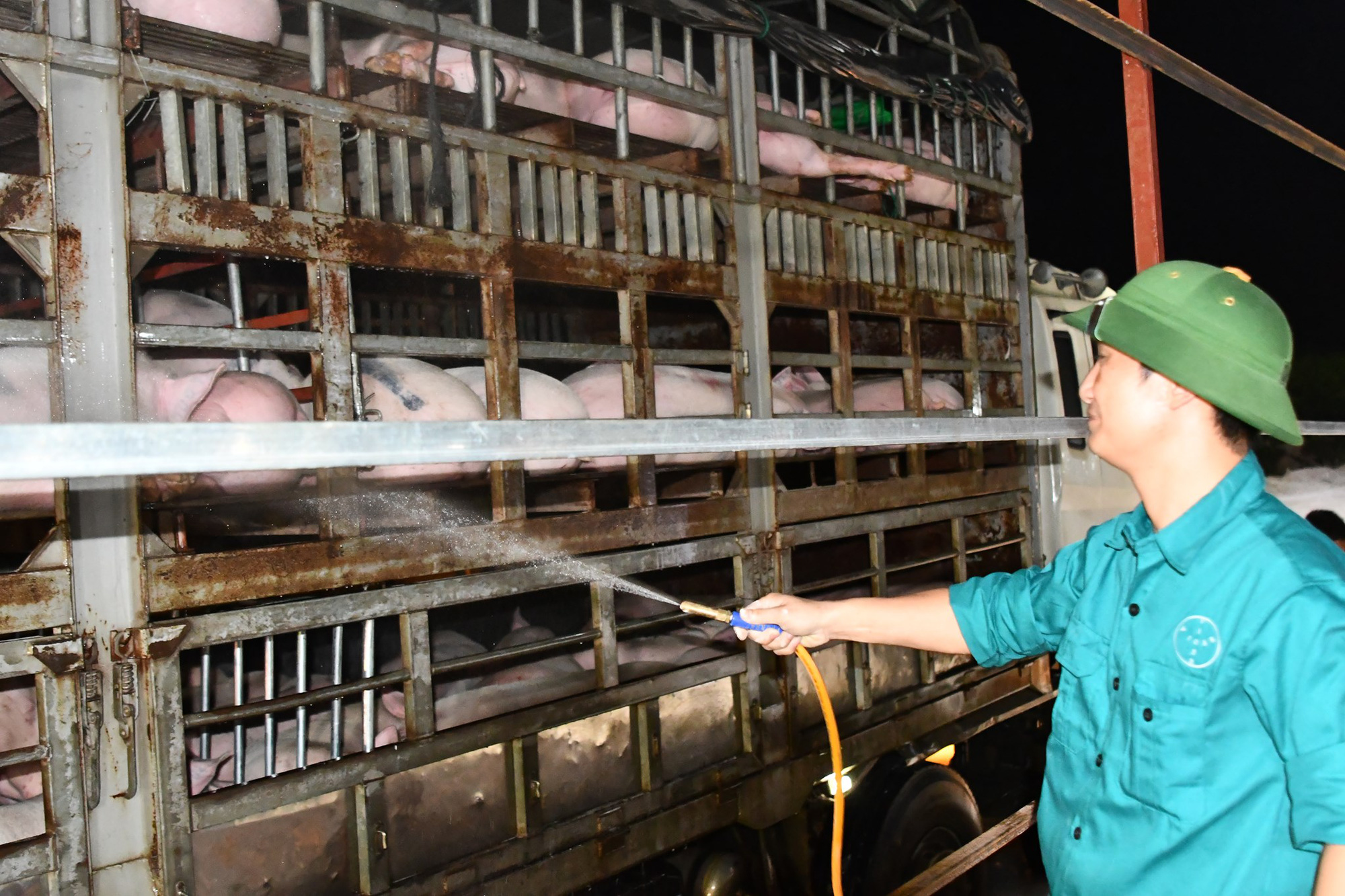 Bộ trưởng Bộ Nông nghiệp: Giá lợn hơi sẽ giảm khi nhập khẩu lợn sống từ Thái Lan - Ảnh 2.