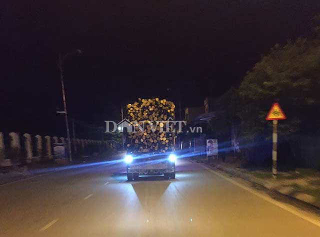 Bắc Kạn: Tạm giữ xe gỗ không rõ nguồn gốc trong đêm - Ảnh 1.