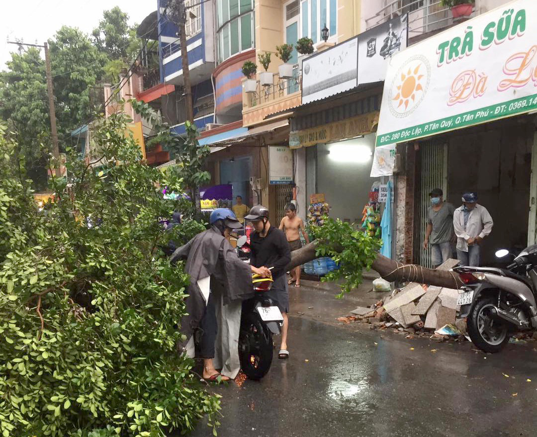 Cây đổ đè chết người, nước bủa vây trong cơn mưa tầm tã - Ảnh 3.