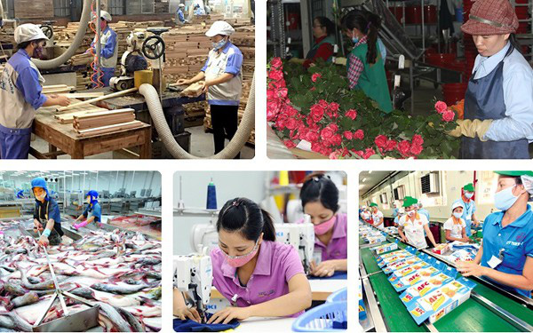 “Đỏ mắt” tìm vốn, DN cần quan hệ “chuyên nghiệp” với ngân hàng - Ảnh 2. “Đỏ mắt” tìm vốn, DN cần quan hệ “chuyên nghiệp” với ngân hàng - Ảnh 2.