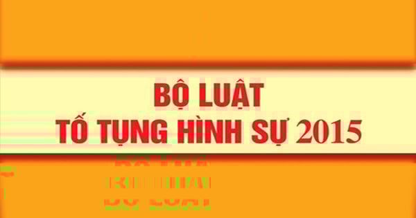 Lời nhận tội có thể được coi là chứng cứ kết tội khi nào? - Ảnh 3.