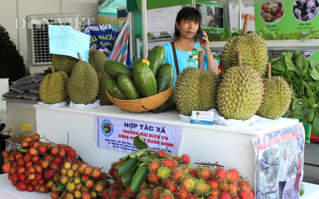 Nông dân Đồng Nai có điêu đứng với giá sầu riêng? - Ảnh 1.