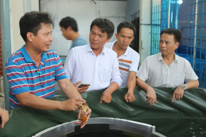 Lần đầu tiên sản xuất thành công giống tôm mũ ni - Ảnh 2. Lần đầu tiên sản xuất thành công giống tôm mũ ni - Ảnh 2.