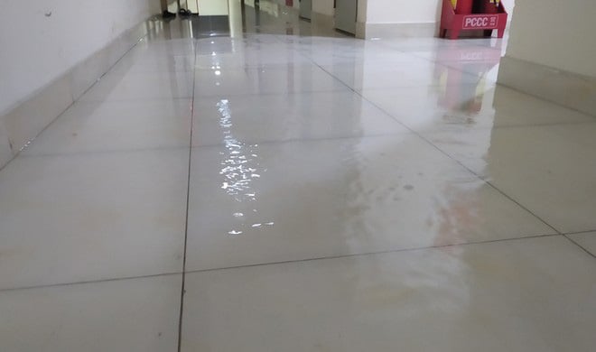 Gặp mưa, hàng loạt chung cư TP.HCM “đổ bệnh” - Ảnh 1.