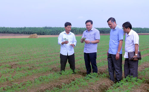 Bắc Ninh: Hỗ trợ hộ viên nuôi cá lồng, trồng cà rốt xuất khẩu - Ảnh 1.