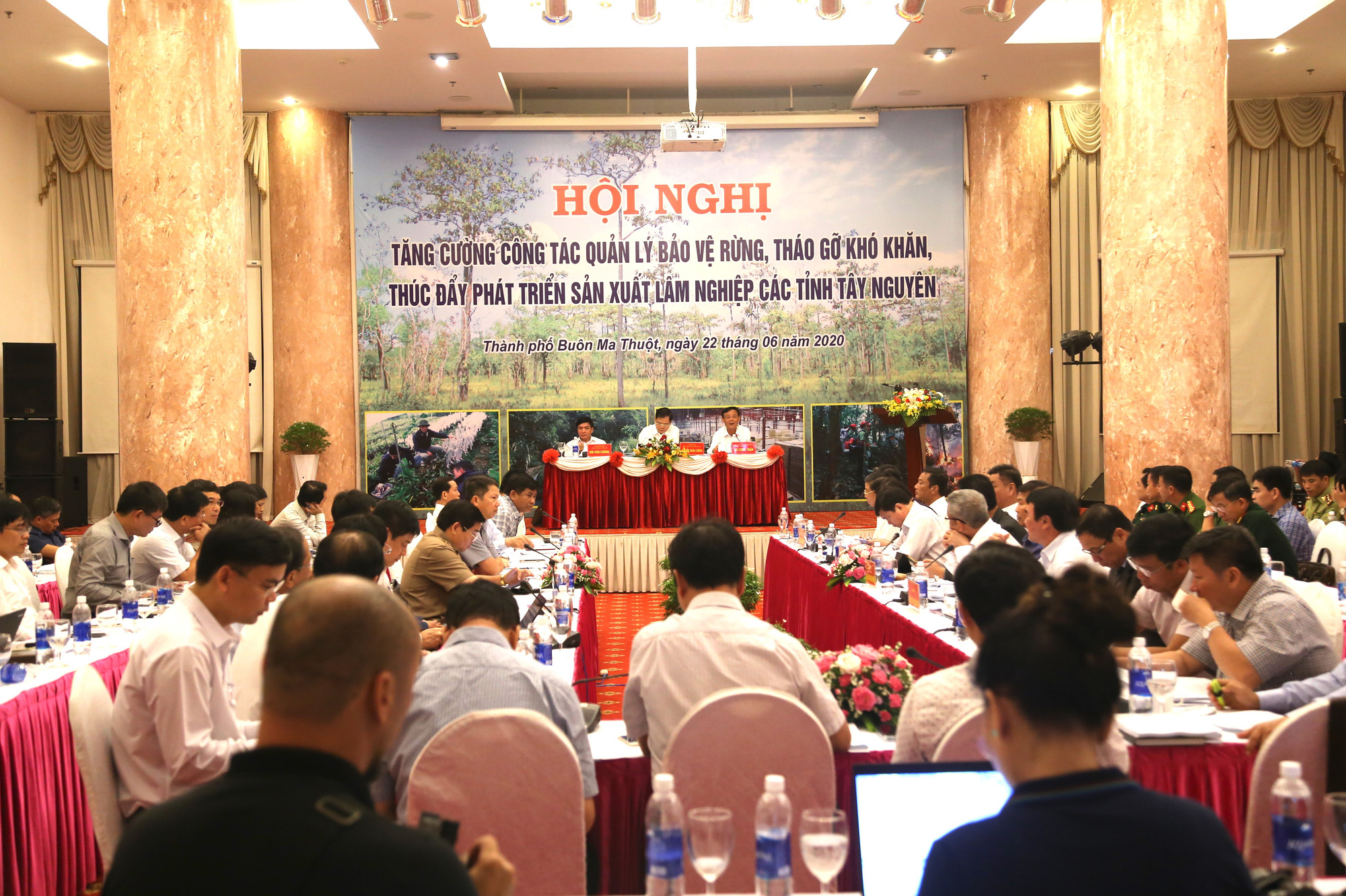 Bộ NNPTNT bàn giải pháp phát triển rừng Tây Nguyên - Ảnh 1.