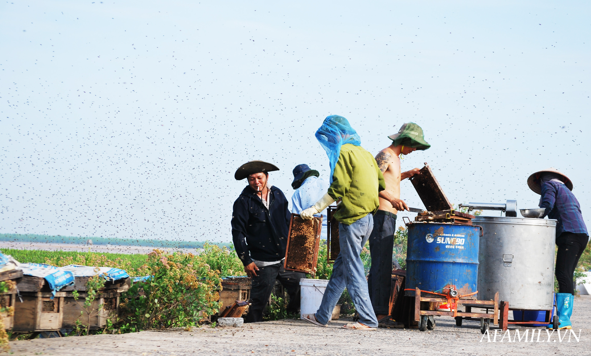 Thu nhập khủng nhờ nuôi ong lấy mật từ loài hoa tự nhiên không ai ngờ tới ở Ninh Bình - Ảnh 6. Thu nhập khủng nhờ nuôi ong lấy mật từ loài hoa tự nhiên không ai ngờ tới ở Ninh Bình - Ảnh 6.