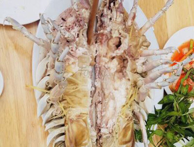 Lục đại đặc sản biển gây ấn tượng bởi vẻ ngoài "kỳ dị": Nhìn thì ghê ăn thích mê - Ảnh 4. Lục đại đặc sản biển gây ấn tượng bởi vẻ ngoài "kỳ dị": Nhìn thì ghê ăn thích mê - Ảnh 4.
