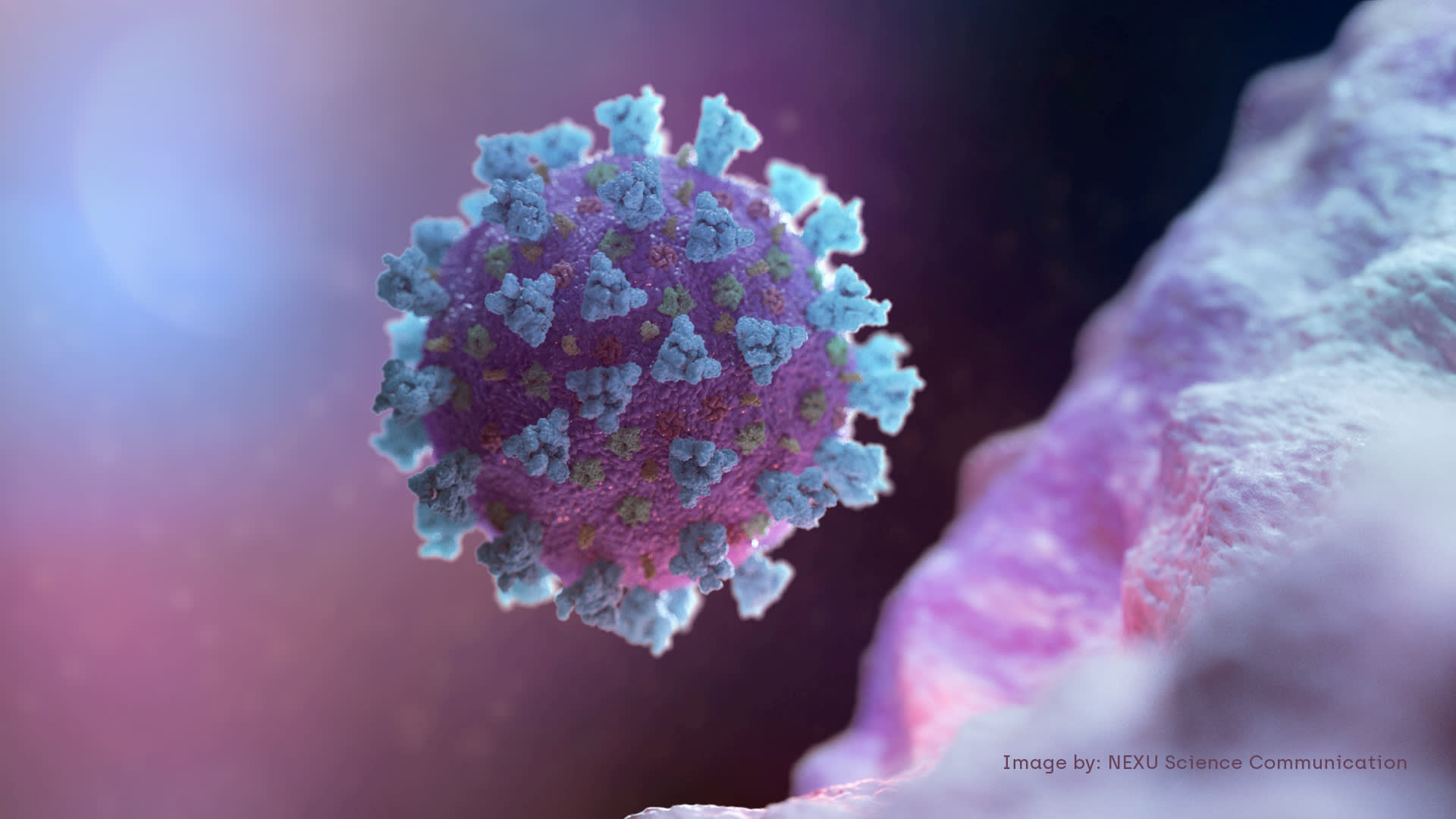 Virus SARS-CoV-2 có thể đã xuất hiện ở Tây Ban Nha sớm hơn Trung Quốc 9 tháng - Ảnh 1. Virus SARS-CoV-2 có thể đã xuất hiện ở Tây Ban Nha sớm hơn Trung Quốc 9 tháng - Ảnh 1.