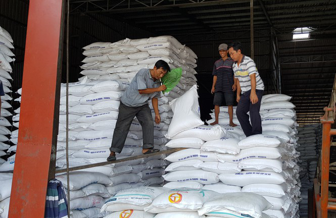 Philippines loại bỏ kế hoạch nhập khẩu 300.000 tấn gạo - Ảnh 1. Philippines loại bỏ kế hoạch nhập khẩu 300.000 tấn gạo - Ảnh 1.