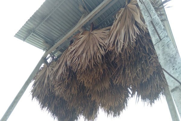 Chỉ là hốt phân dơi thôi, mỗi tháng cũng kiếm đã tiền - Ảnh 1. Chỉ là hốt phân dơi thôi, mỗi tháng cũng kiếm đã tiền - Ảnh 1.