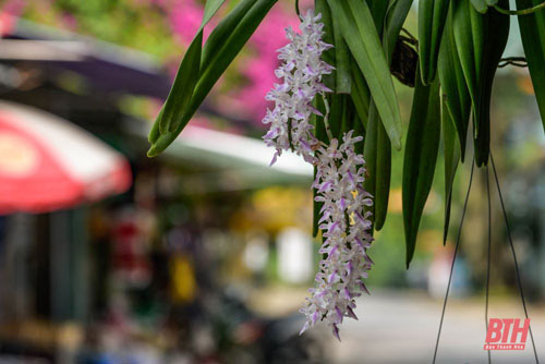 Bí ẩn về dòng suối ngầm chảy mãi không bao giờ cạn và đàn “cá thần” linh thiêng - Ảnh 9. Bí ẩn về dòng suối ngầm chảy mãi không bao giờ cạn và đàn “cá thần” linh thiêng - Ảnh 9.