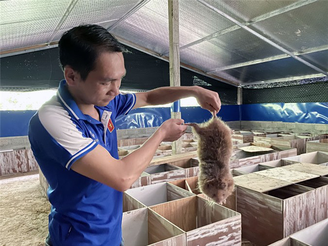"Cao thủ" nuôi ốc nhồi - Ảnh 3. "Cao thủ" nuôi ốc nhồi - Ảnh 3.