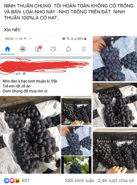 Nho đen Tàu đội lốt nho Ninh Thuận, dân buôn "vạch mặt" sự thật bất ngờ - Ảnh 5. Nho đen Tàu đội lốt nho Ninh Thuận, dân buôn "vạch mặt" sự thật bất ngờ - Ảnh 5.