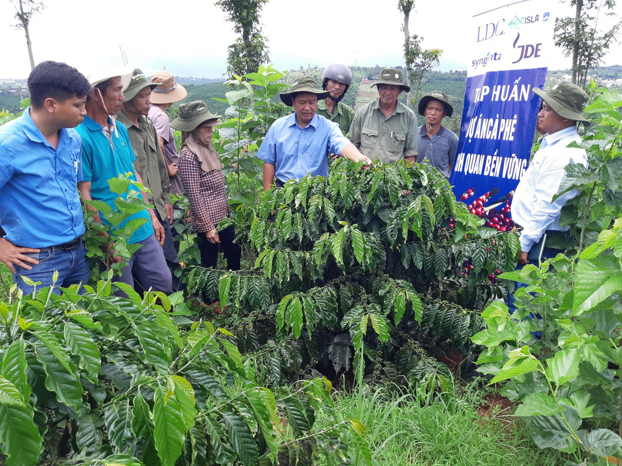 Syngenta giới thiệu chương trình phát triển bền vững mới thời hậu Covid-19 - Ảnh 1.