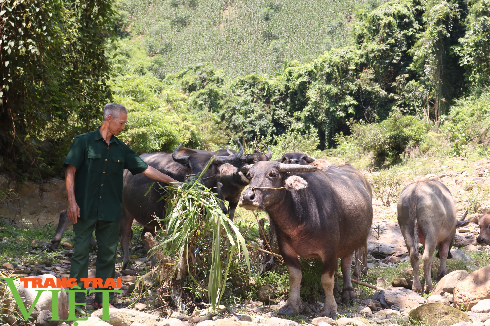 Tân Lang quyết tâm về đích nông thôn mới - Ảnh 2. Tân Lang quyết tâm về đích nông thôn mới - Ảnh 2.