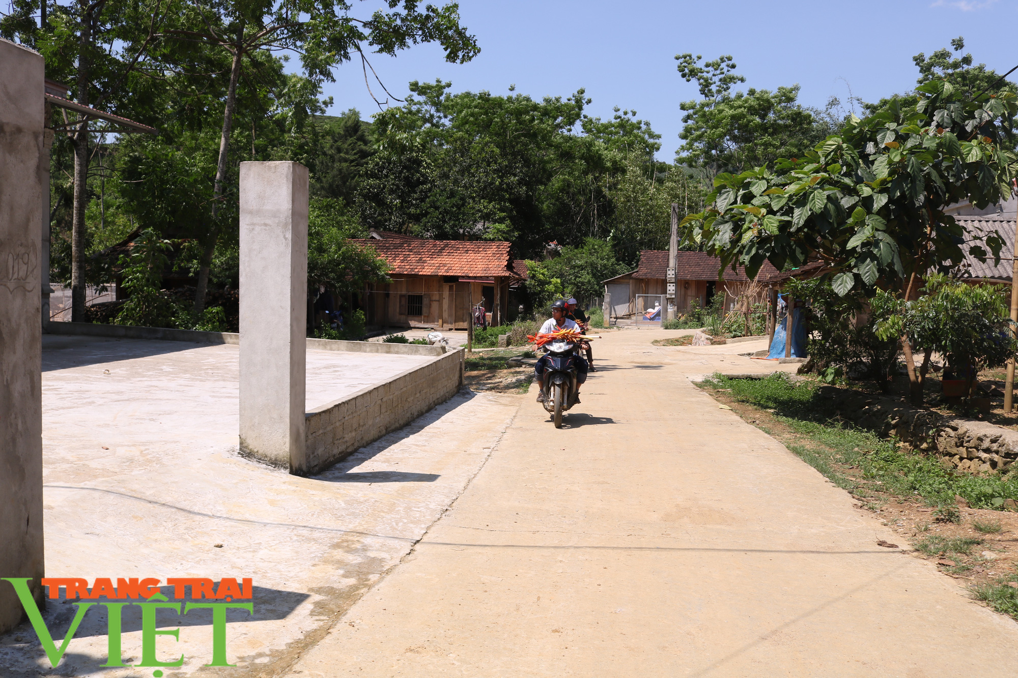 Tân Lang quyết tâm về đích nông thôn mới - Ảnh 1. Tân Lang quyết tâm về đích nông thôn mới - Ảnh 1.