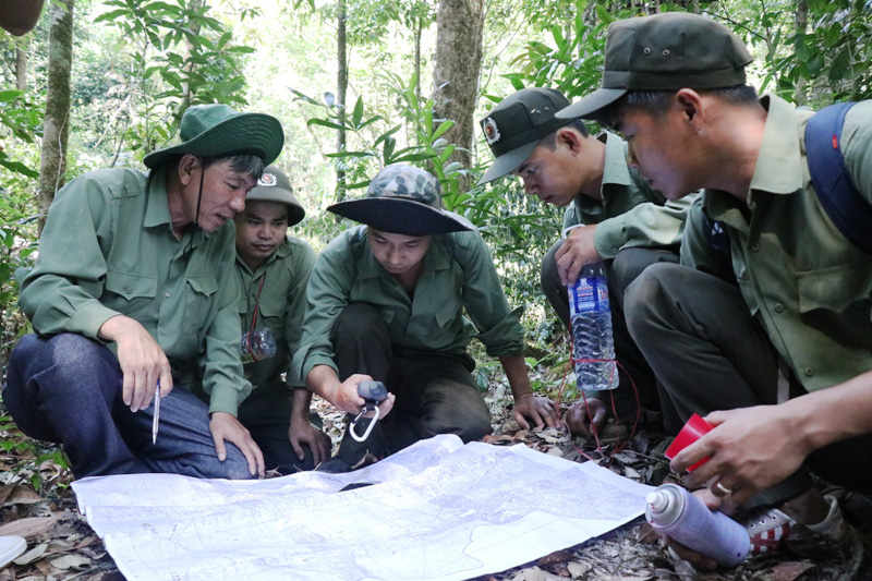 Vùng đất cây gỗ pơ mu quý hiếm mọc dày đặc, giữ như giữ vàng mà lâm tặc vẫn rình mò ngày đêm - Ảnh 5.
