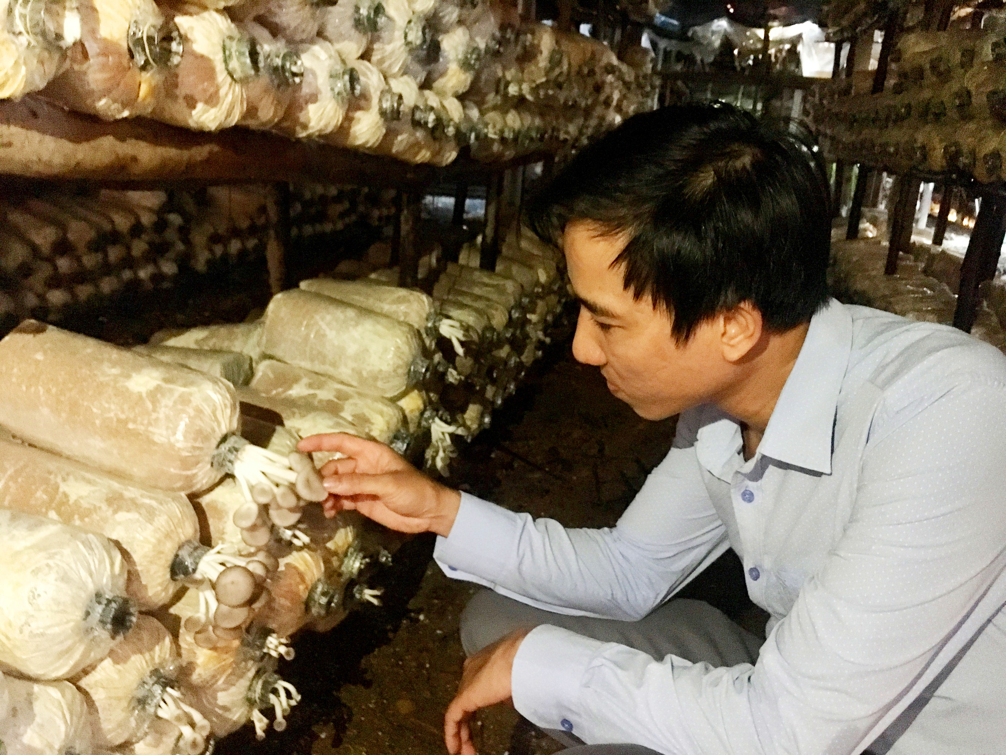 Quảng Bình: Bỏ công việc nhà nước, vợ chồng về quê trồng nấm lãi cả trăm triệu/năm  - Ảnh 1.
