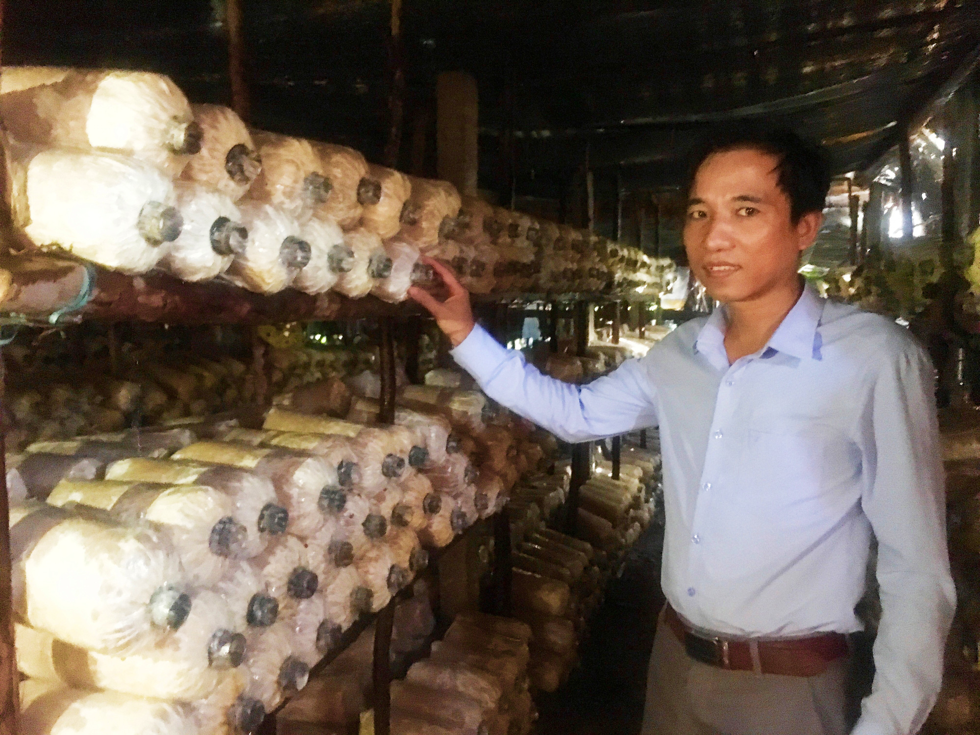 Quảng Bình: Bỏ công việc nhà nước, vợ chồng về quê trồng nấm lãi cả trăm triệu/năm  - Ảnh 4.