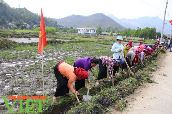 Nông thôn mới Sơn La: Mường La "thay da, đổi thịt" - Ảnh 2. Nông thôn mới Sơn La: Mường La "thay da, đổi thịt" - Ảnh 2.