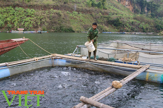 Nông thôn mới Sơn La: Mường La "thay da, đổi thịt" - Ảnh 3. Nông thôn mới Sơn La: Mường La "thay da, đổi thịt" - Ảnh 3.