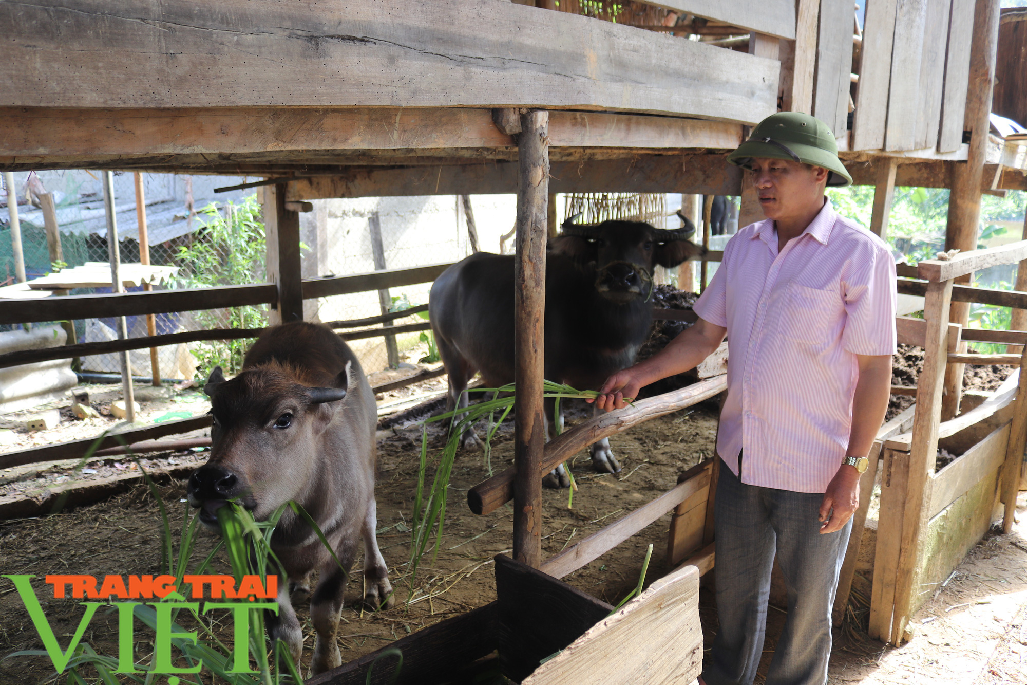 Nông thôn mới Sơn La: Mường La "thay da, đổi thịt" - Ảnh 6. Nông thôn mới Sơn La: Mường La "thay da, đổi thịt" - Ảnh 6.
