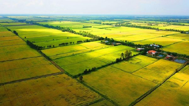 Quy định mới nhất về bồi thường thu hồi đất - Ảnh 1. Quy định mới nhất về bồi thường thu hồi đất - Ảnh 1.