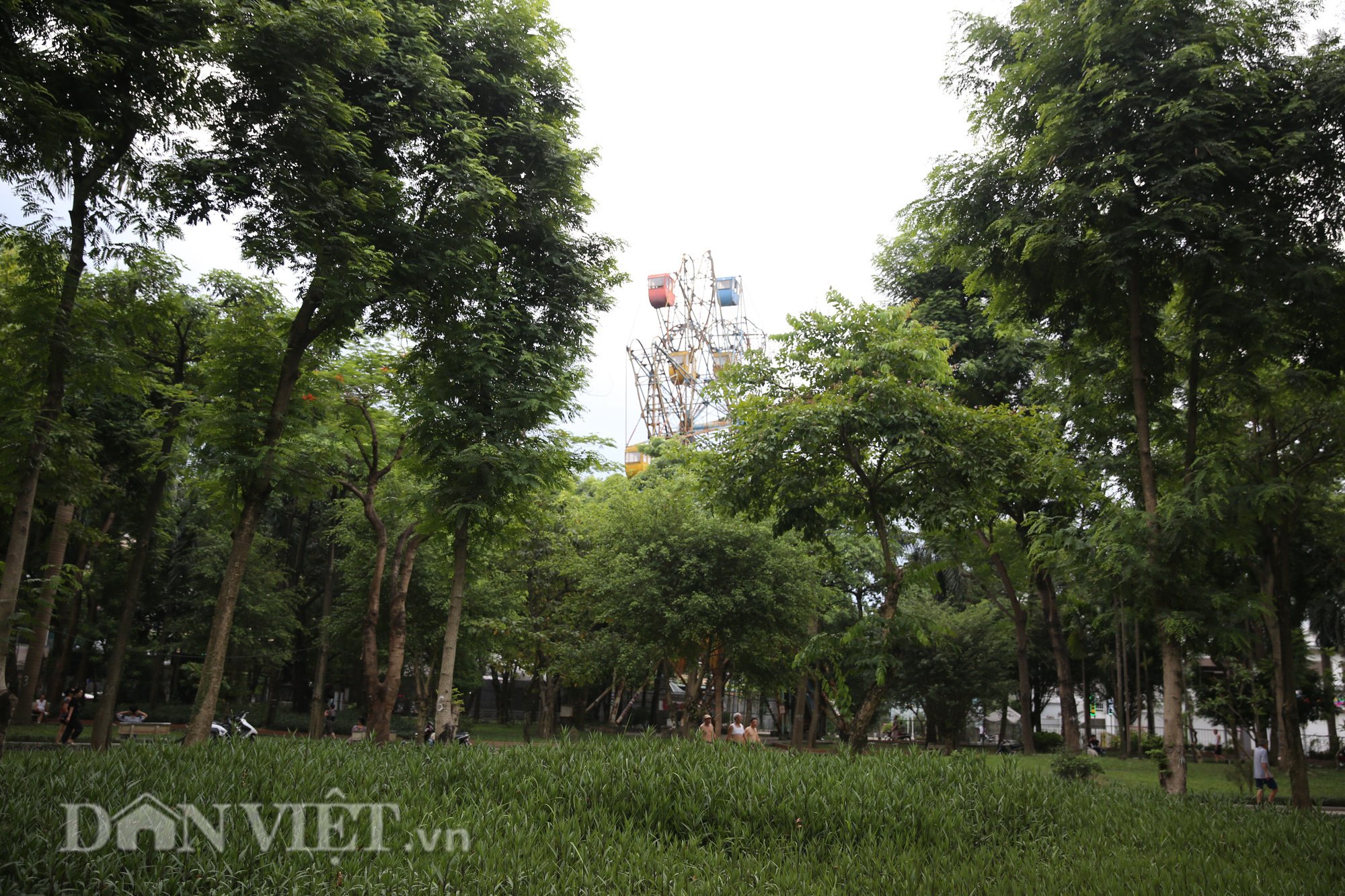 Hiểm nguy rình rập tại công viên nước bỏ hoang 13 năm  - Ảnh 11.
