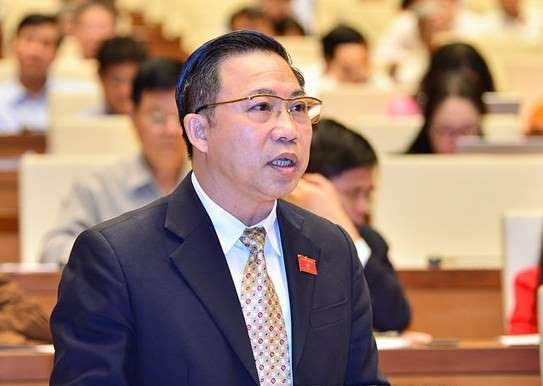 “ĐBQH không thể nói việc này em không học, không làm nên không biết” - Ảnh 3.