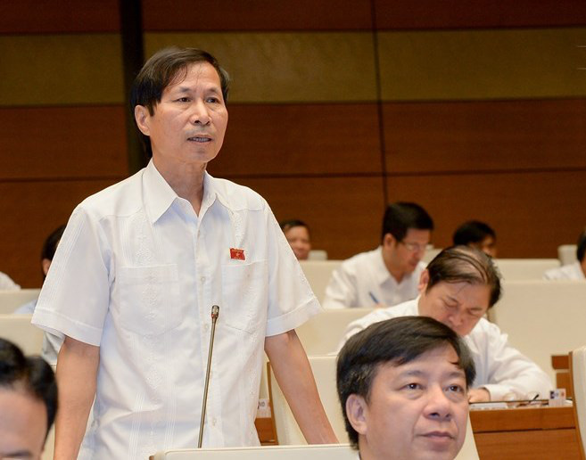 “ĐBQH không thể nói việc này em không học, không làm nên không biết” - Ảnh 1.
