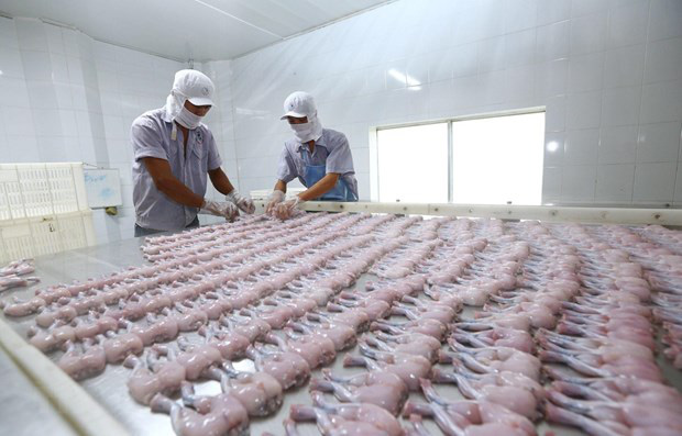 Ủy ban châu Âu thông báo thời điểm Hiệp định EVFTA có hiệu lực - Ảnh 1. Ủy ban châu Âu thông báo thời điểm Hiệp định EVFTA có hiệu lực - Ảnh 1.