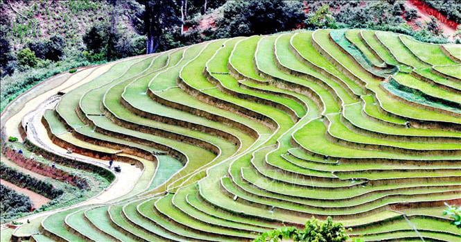Ruộng bậc thang - bức tranh nghệ thuật nơi vùng núi Sơn La - Ảnh 1. Ruộng bậc thang - bức tranh nghệ thuật nơi vùng núi Sơn La - Ảnh 1.