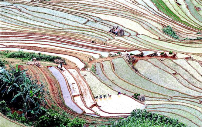 Ruộng bậc thang - bức tranh nghệ thuật nơi vùng núi Sơn La - Ảnh 7. Ruộng bậc thang - bức tranh nghệ thuật nơi vùng núi Sơn La - Ảnh 7.