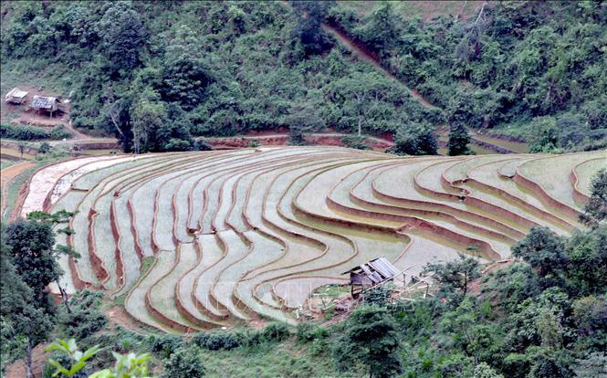 Ruộng bậc thang - bức tranh nghệ thuật nơi vùng núi Sơn La - Ảnh 3. Ruộng bậc thang - bức tranh nghệ thuật nơi vùng núi Sơn La - Ảnh 3.