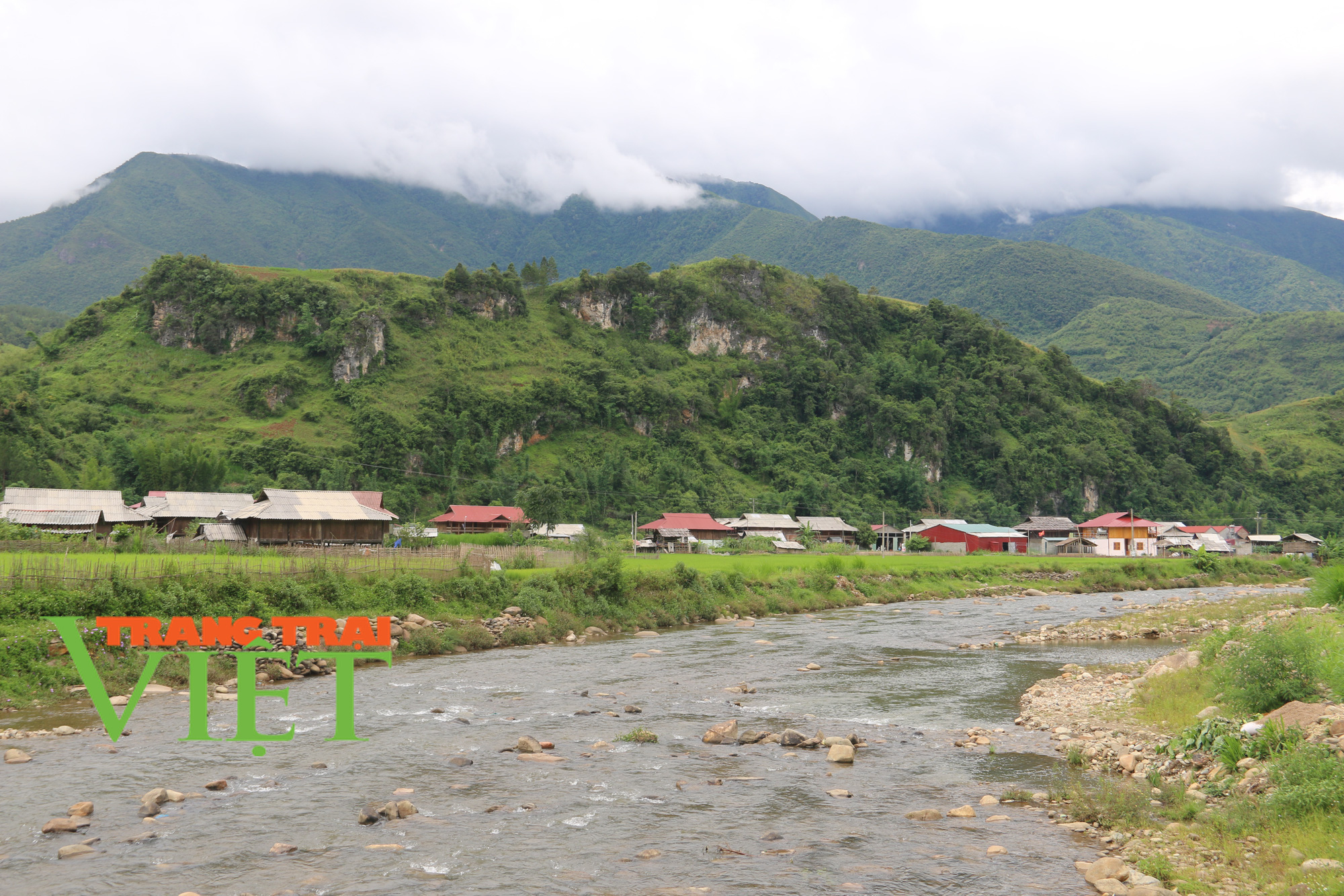 Ảnh: Chiêm ngưỡng phong cảnh như tranh vẽ tại Ngọc Chiến - Ảnh 11. Ảnh: Chiêm ngưỡng phong cảnh như tranh vẽ tại Ngọc Chiến - Ảnh 11.
