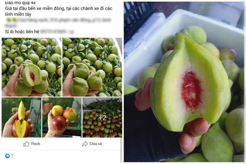 Mận, đào Trung Quốc núp bóng hàng Việt đổ về TP.HCM - Ảnh 1.