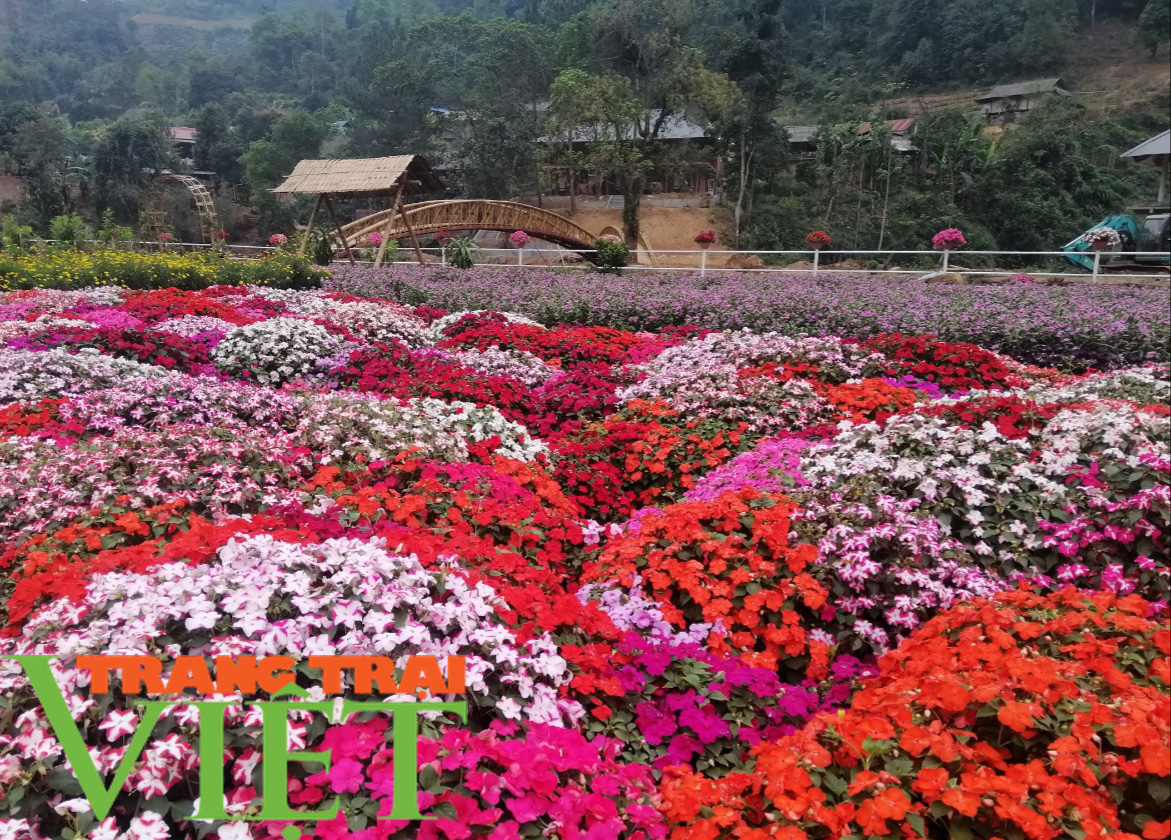 Bước đột phá của du lịch Tam Đường - Ảnh 2. Bước đột phá của du lịch Tam Đường - Ảnh 2.