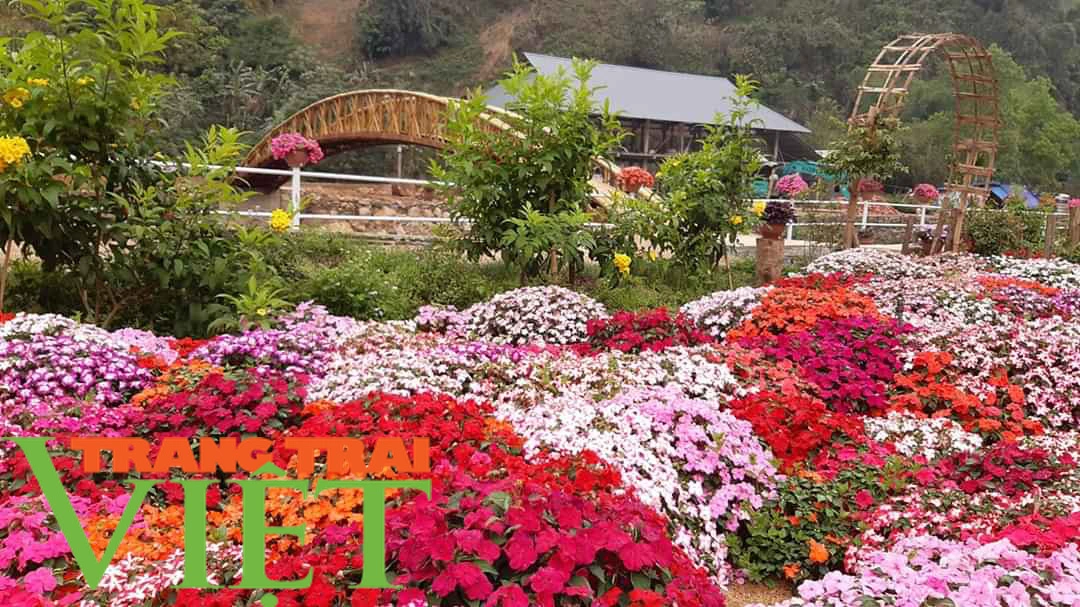Bước đột phá của du lịch Tam Đường - Ảnh 4. Bước đột phá của du lịch Tam Đường - Ảnh 4.