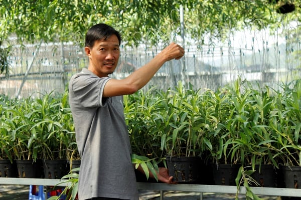 Vườn lan &quot;khủng&quot; của anh nông dân có giò lan đột biến Bạch tuyết 5 cánh trắng bán giá 1,5 tỷ - Ảnh 1.
