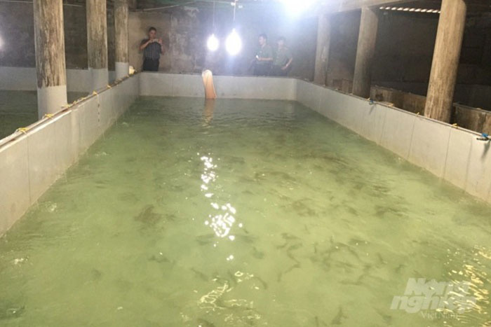 Tiêu hủy tôm giống không rõ nguồn gốc, xử phạt 154 triệu - Ảnh 1.