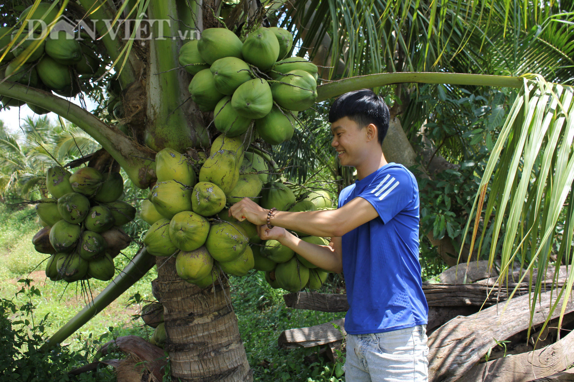 Đắk Lắk