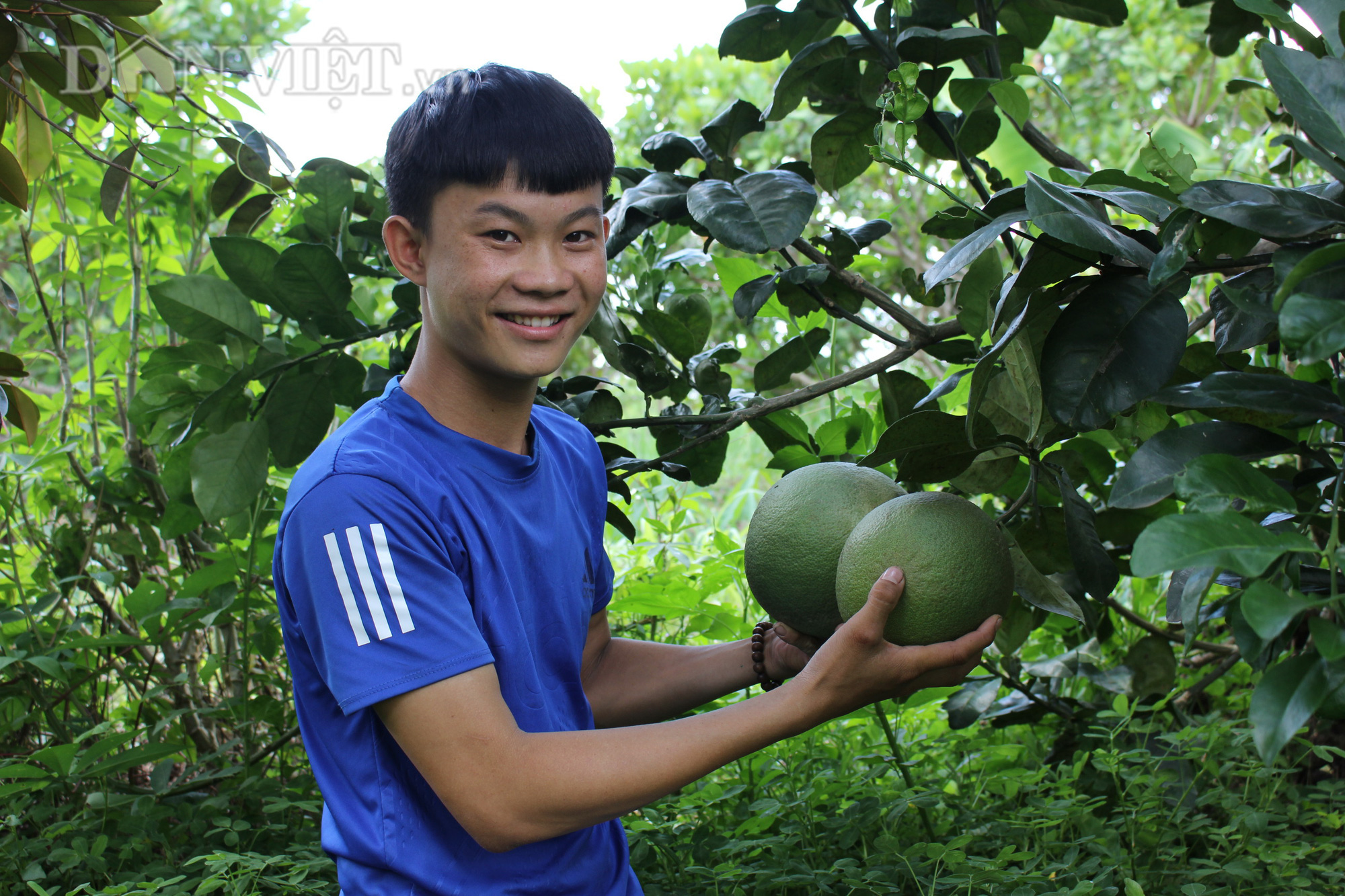Đắk Lắk