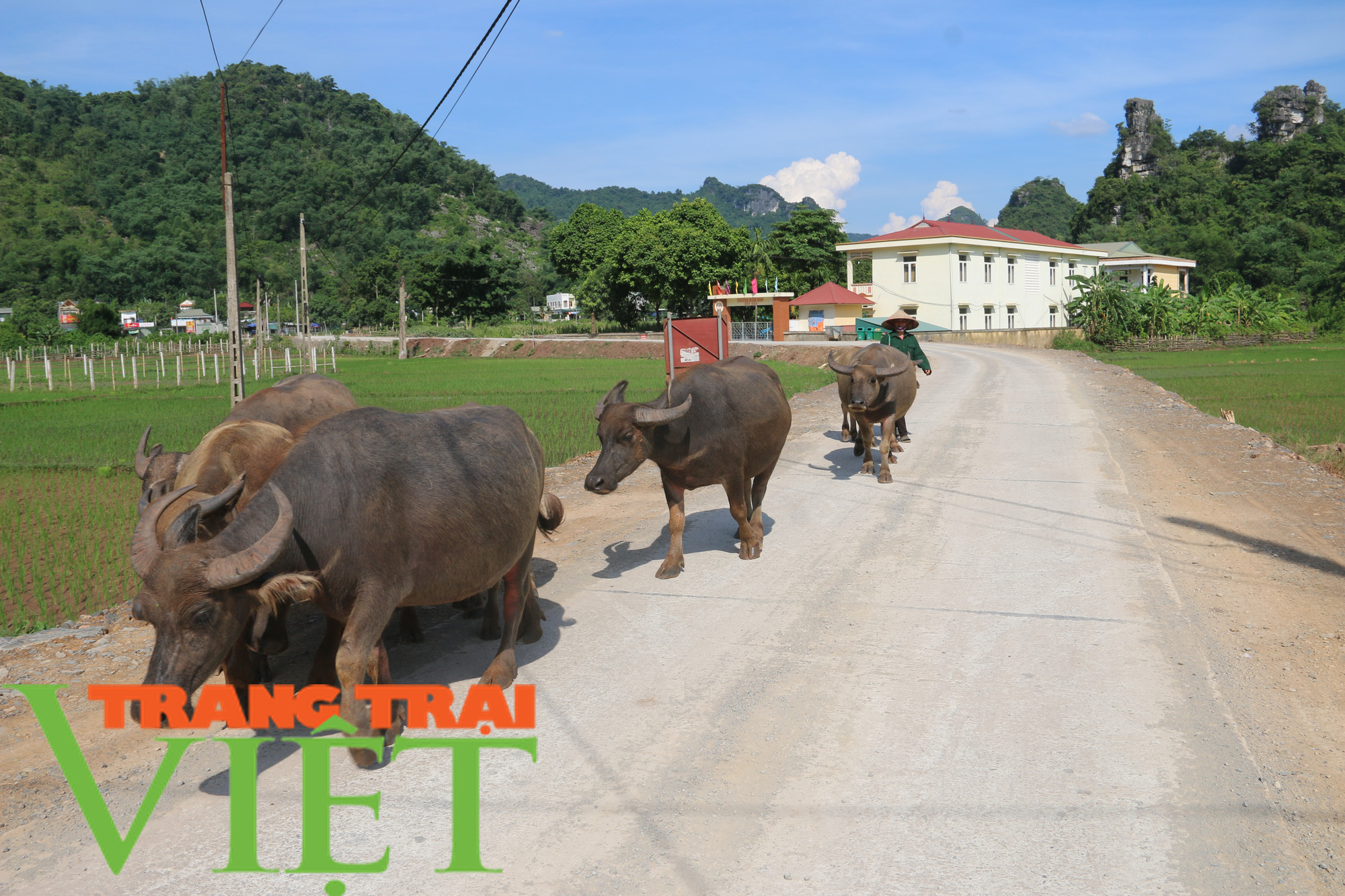Hòa Bình: Niềm vui trên những con đường nông thôn mới ở Mai Châu - Ảnh 6. Hòa Bình: Niềm vui trên những con đường nông thôn mới ở Mai Châu - Ảnh 6.