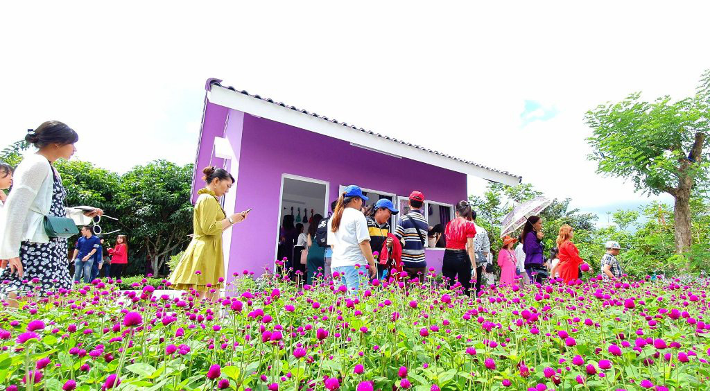 Căn nhà toàn màu tím, "tím lịm tìm sim" độc nhất miền Tây - Ảnh 5. Căn nhà toàn màu tím, "tím lịm tìm sim" độc nhất miền Tây - Ảnh 5.